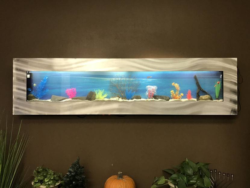 Wide wall-mounted aquarium with colorful decorations.