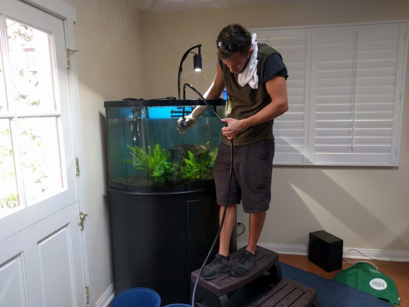 Man cleaning large fish tank at home.