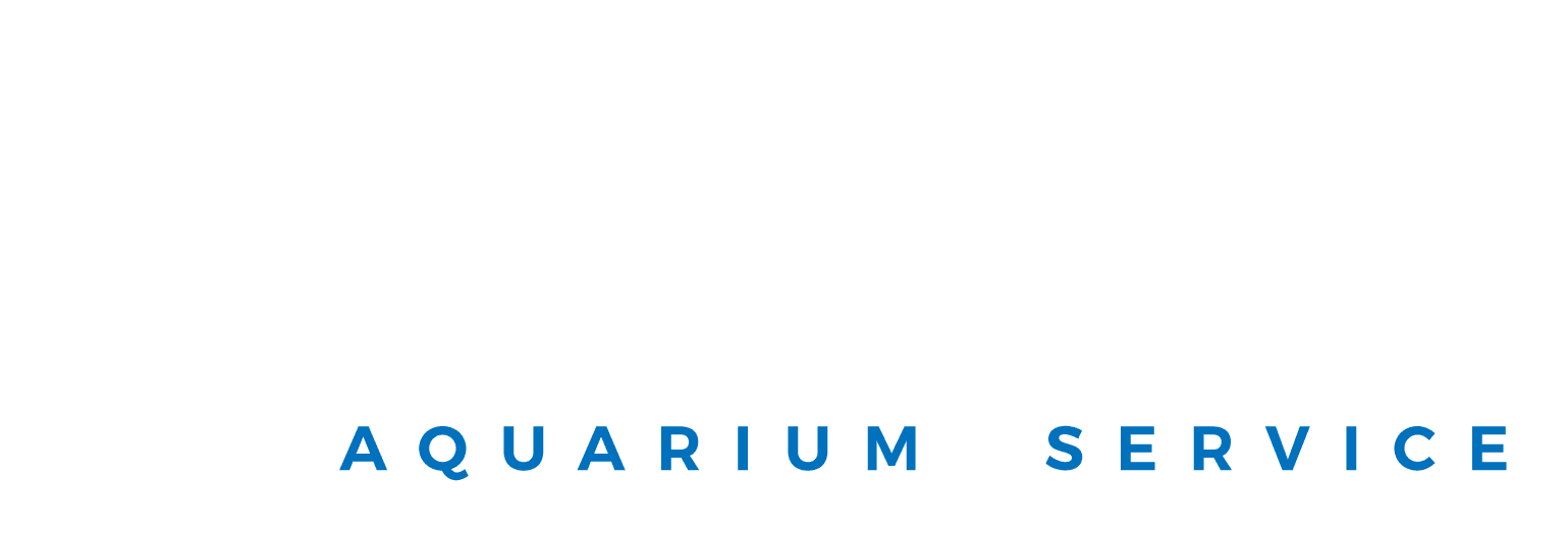 Aquarium Installation and Maintenance Services Thousand Oaks CA