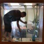 Man cleaning large aquarium tank from inside.