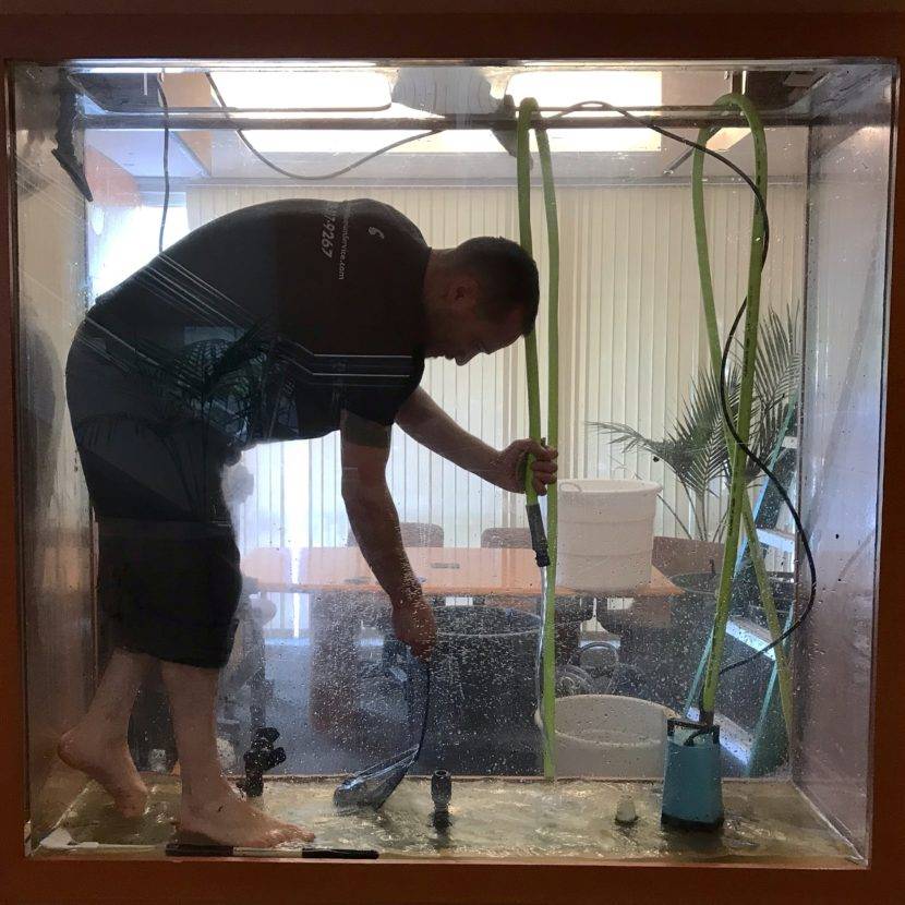 Man cleaning large aquarium tank from inside.
