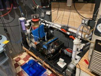 Aquarium filtration system with pipes and equipment.