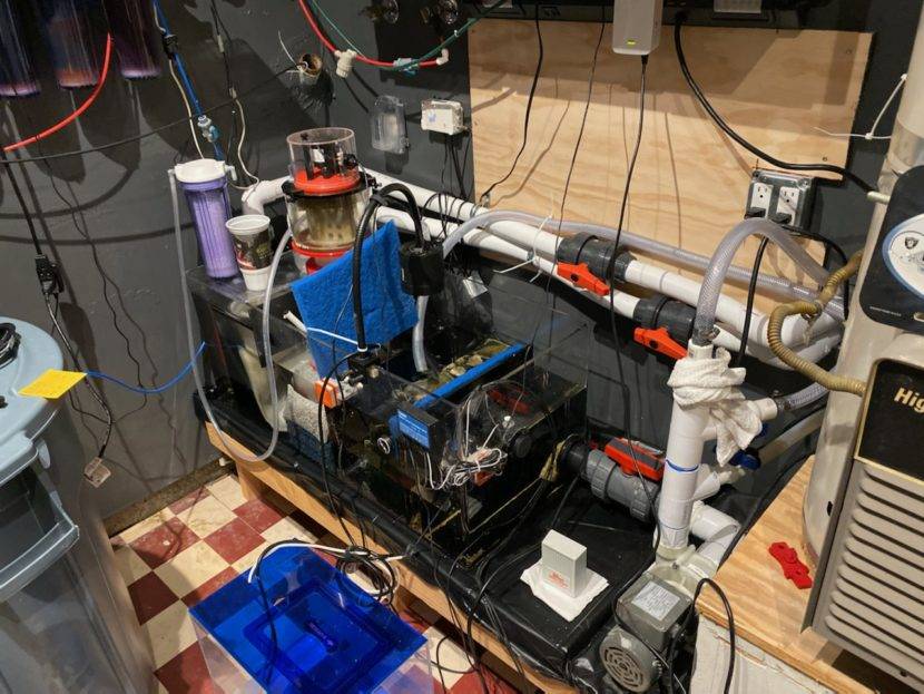 Aquarium filtration system with pipes and equipment.