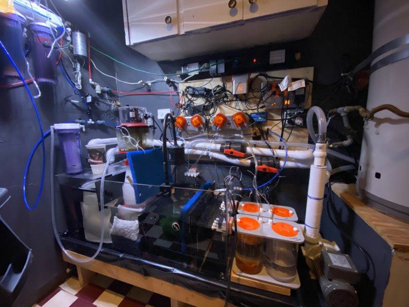 Complex aquarium filtration system with various equipment.