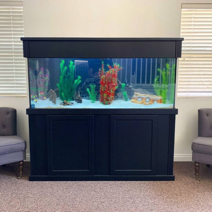 Large aquarium with colorful plants and decorations.