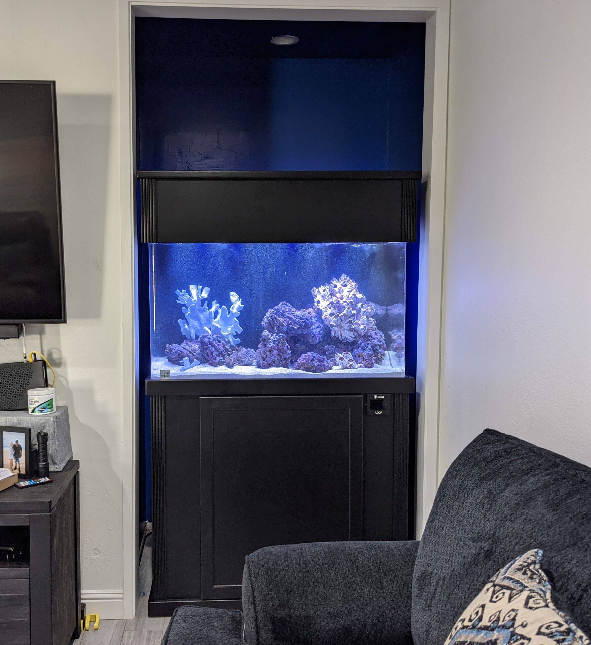 Custom 100 Gallon Tall Acrylic – Aquarium Installation and Maintenance  Services Thousand Oaks CA